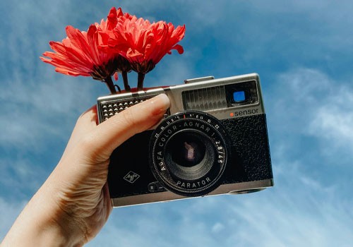 tips for professional photography