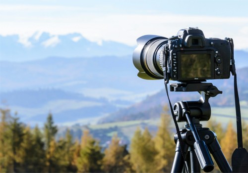 career in photography